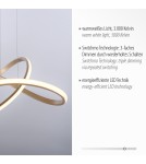 Paul Neuhaus Maria Lampa Wisząca Matowy Mosiądz 15402-60