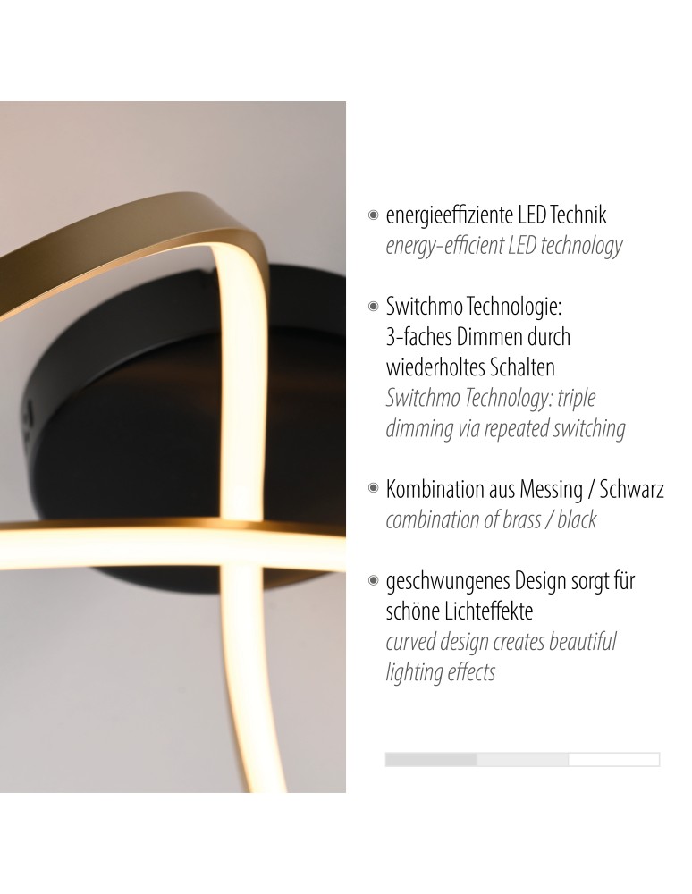 Paul Neuhaus Okta Lampa Sufitowa Matowy Mosiądz 15405-68