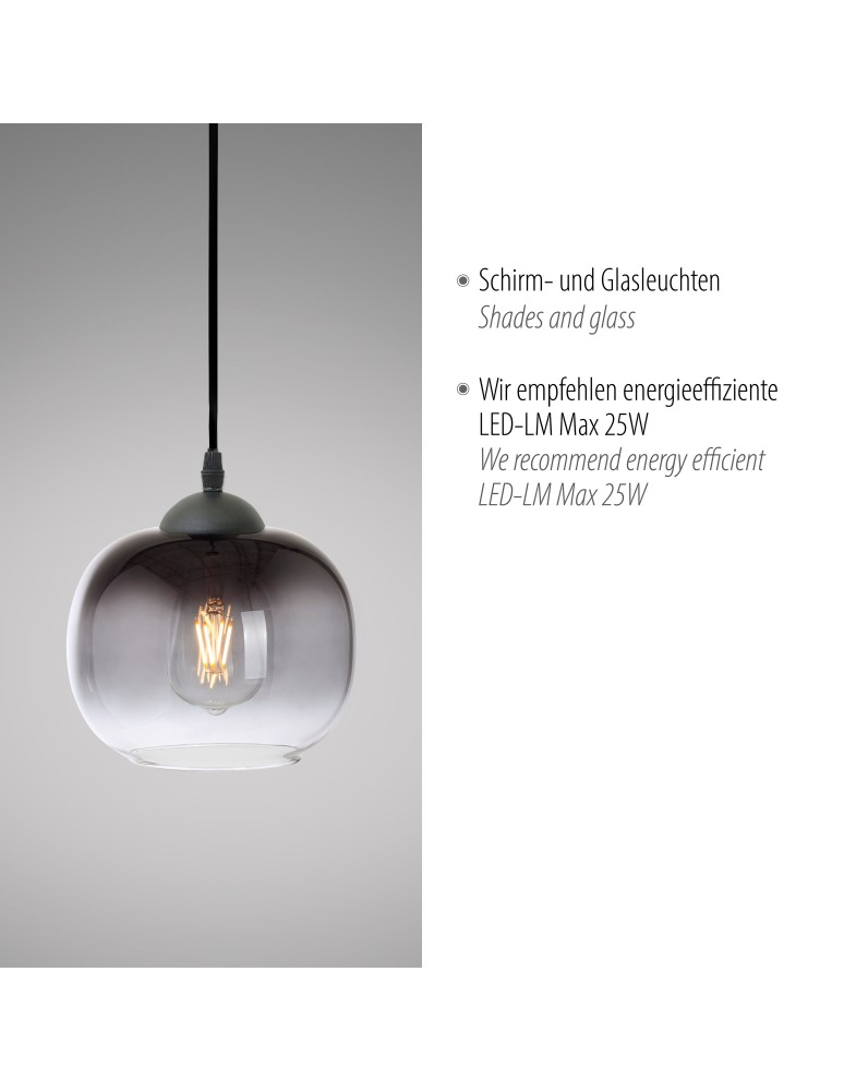 Paul Neuhaus Zea Lampa Wisząca Czarny 15420-18