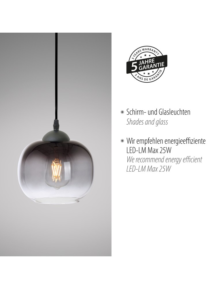 Paul Neuhaus Zea Lampa Wisząca Czarny 15420-18