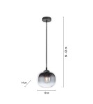 Paul Neuhaus Zea Lampa Wisząca Czarny 15420-18
