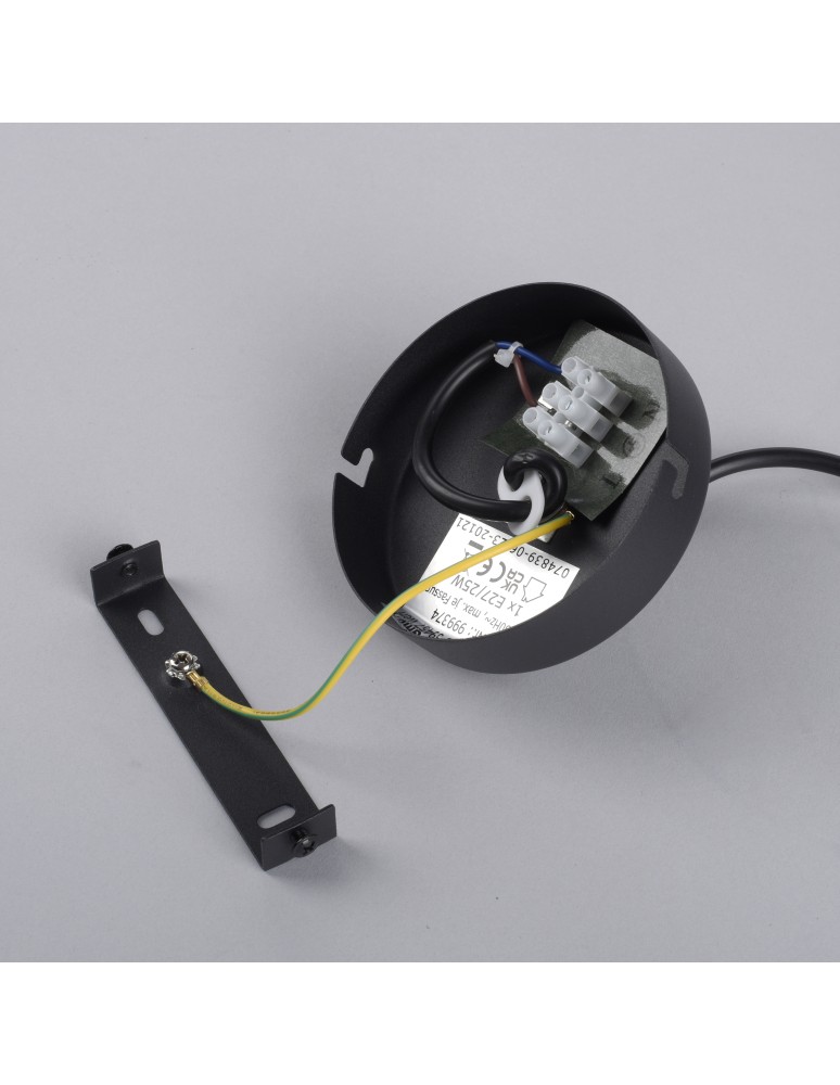 Paul Neuhaus Zea Lampa Wisząca Czarny 15420-18