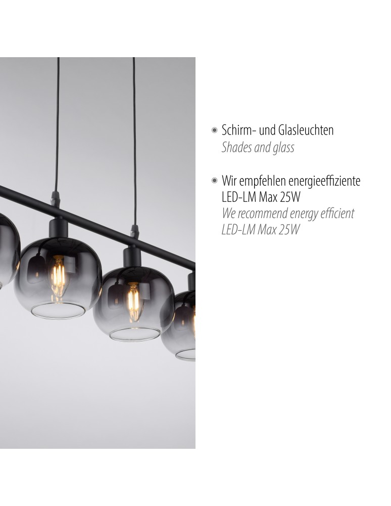 Paul Neuhaus Zea Lampa Wisząca Czarny 15421-18