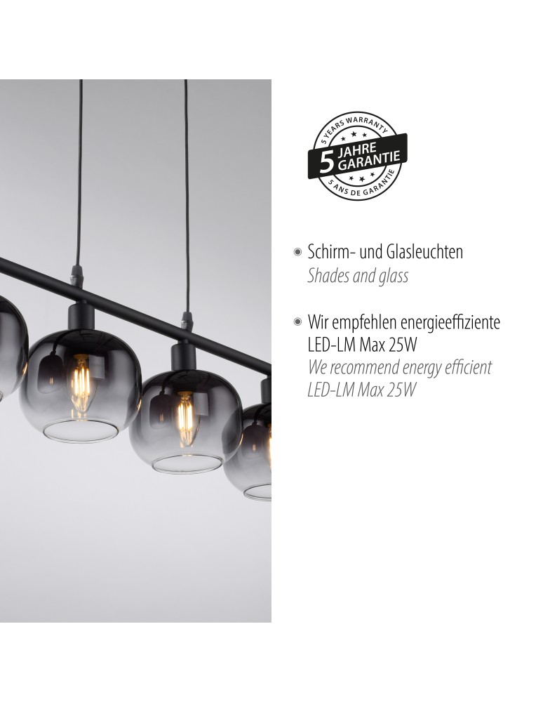 Paul Neuhaus Zea Lampa Wisząca Czarny 15421-18