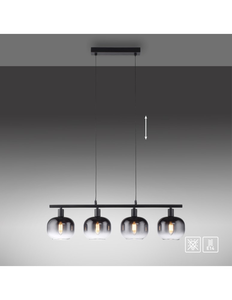 Paul Neuhaus Zea Lampa Wisząca Czarny 15421-18