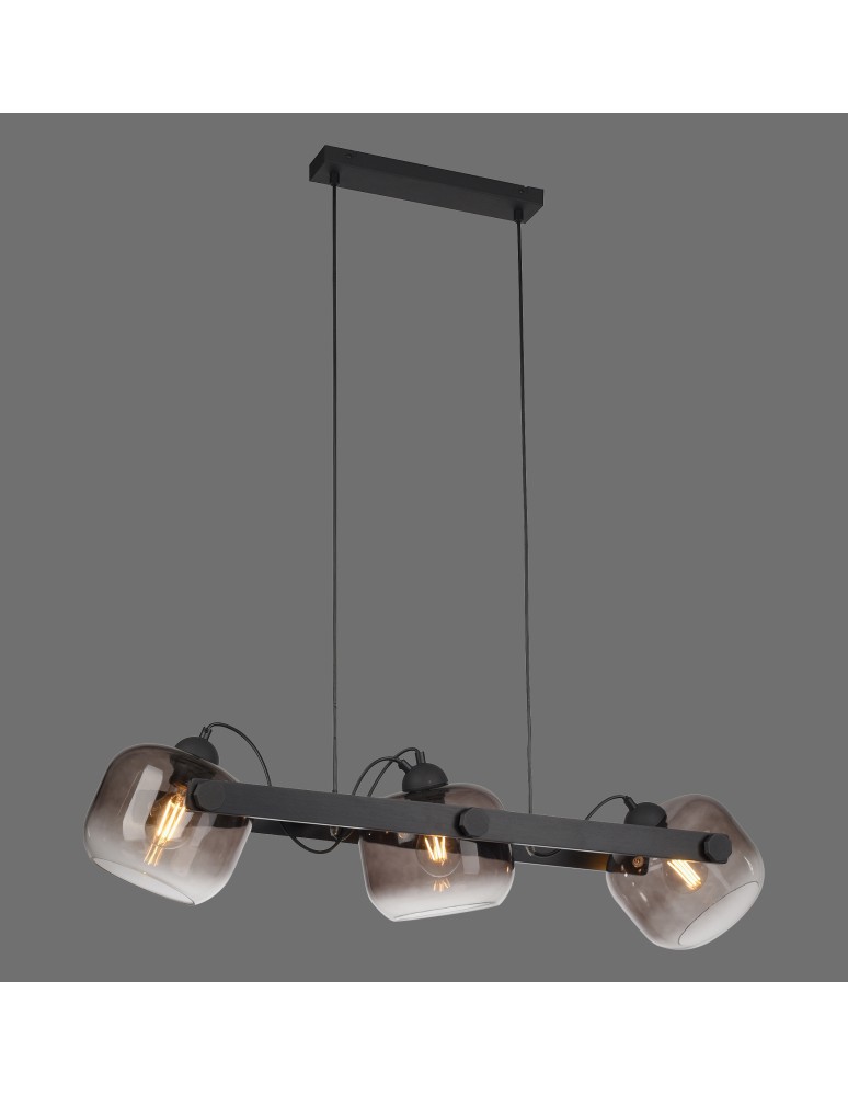 Paul Neuhaus Cup 2.0 Lampa Wisząca Czarny 15753-18