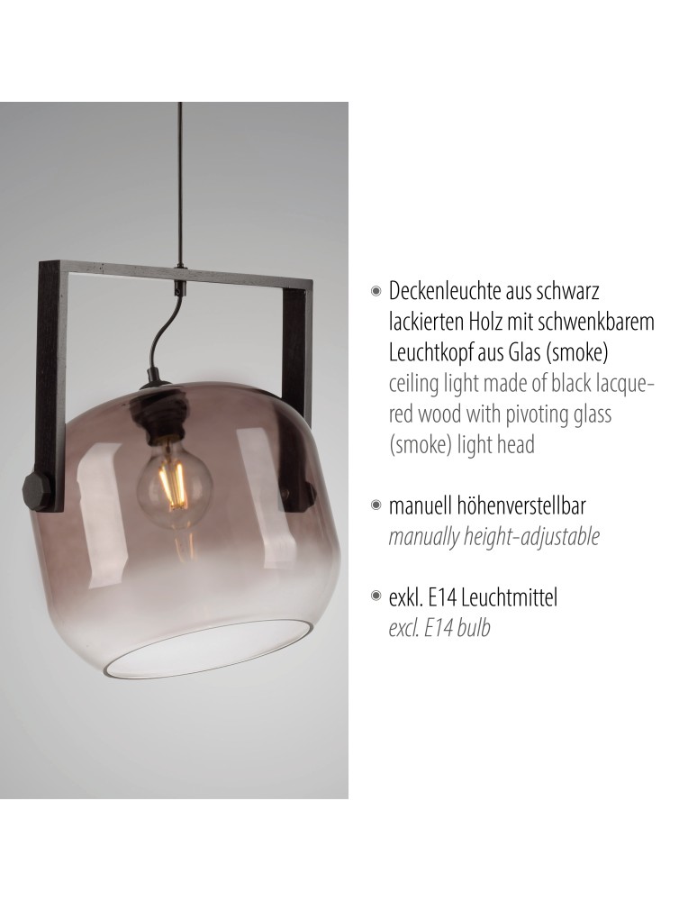 Paul Neuhaus Cup 2.0 Lampa Wisząca Czarny 15757-18