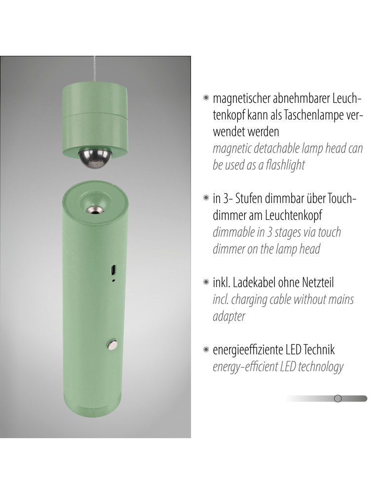 Paul Neuhaus Attach Lampa Wisząca Jasnozielony 18281-43