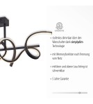 Paul Neuhaus Curls Lampa Sufitowa Czarny 19032-18