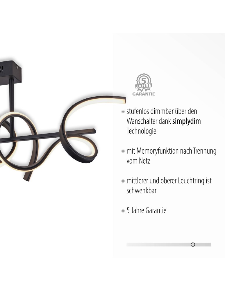 Paul Neuhaus Curls Lampa Sufitowa Czarny 19032-18