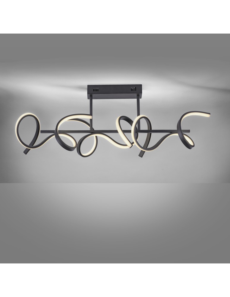 Paul Neuhaus Curls Lampa Sufitowa Czarny 19032-18