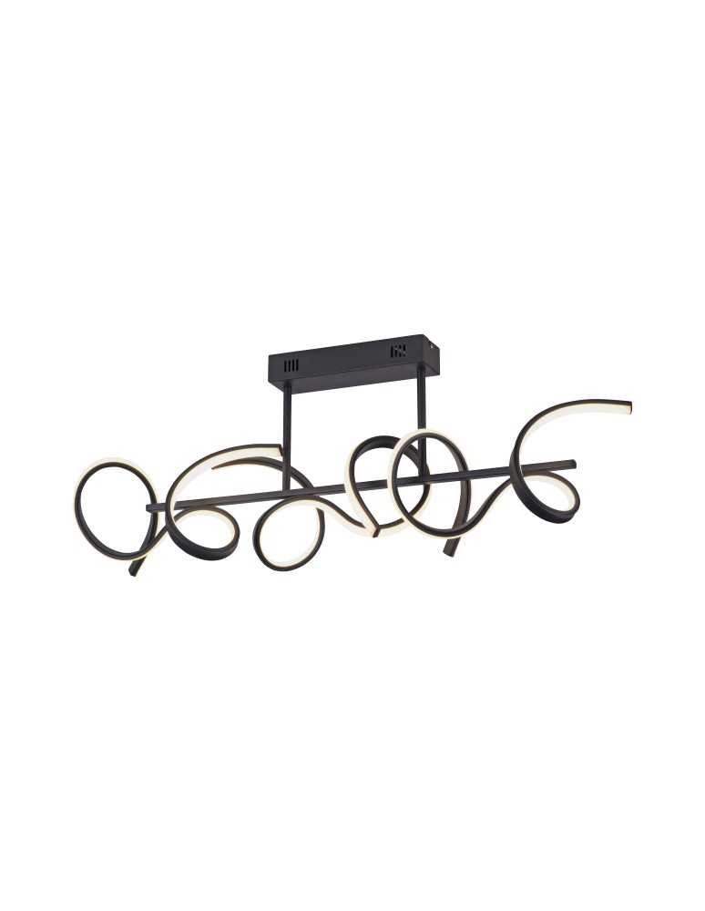 Paul Neuhaus Curls Lampa Sufitowa Czarny 19032-18