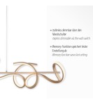 Paul Neuhaus Curls Lampa Wisząca Matowy Mosiądz 19033-60