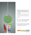 Paul Neuhaus Lolasmart-Bolo Lampa Wisząca Srebrny 22072-55