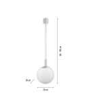 Paul Neuhaus Lolasmart-Bolo Lampa Wisząca Srebrny 22072-55