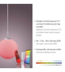 Paul Neuhaus Lolasmart-Bolo Lampa Wisząca Srebrny 22073-55