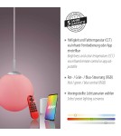 Paul Neuhaus Lolasmart-Bolo Lampa Wisząca Srebrny 22073-55