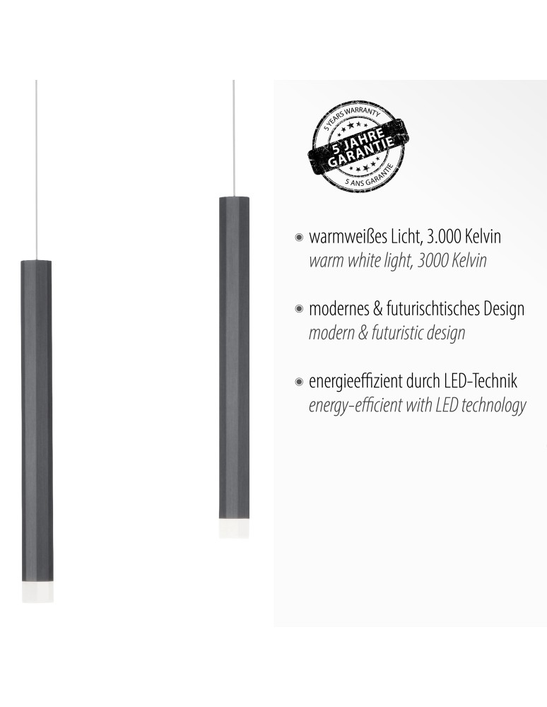 Paul Neuhaus Bruno Lampa Wisząca Czarny 15203-18