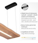 Paul Neuhaus Palma Lampa Wisząca Drewno/Czarny 2625-79