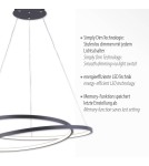 Paul Neuhaus Roman Lampa Wisząca Czarny 2472-18