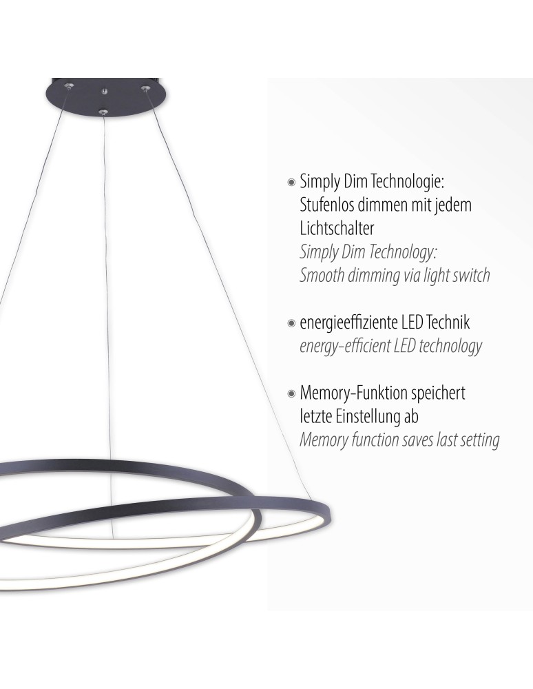 Paul Neuhaus Roman Lampa Wisząca Czarny 2472-18