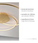 Paul Neuhaus Nastro Lampa Sufitowa Złoty 6189-12