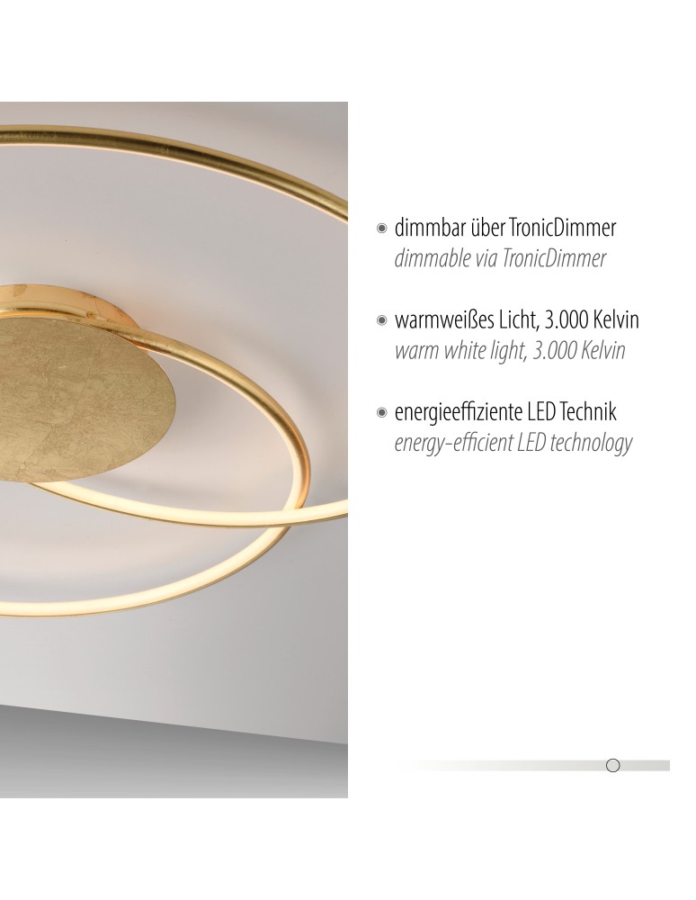 Paul Neuhaus Nastro Lampa Sufitowa Złoty 6189-12