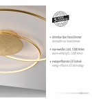 Paul Neuhaus Nastro Lampa Sufitowa Złoty 6189-12