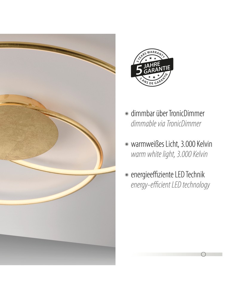 Paul Neuhaus Nastro Lampa Sufitowa Złoty 6189-12