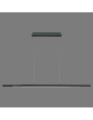 Paul Neuhaus Q-Arian Lampa Wisząca Antracyt 2569-13
