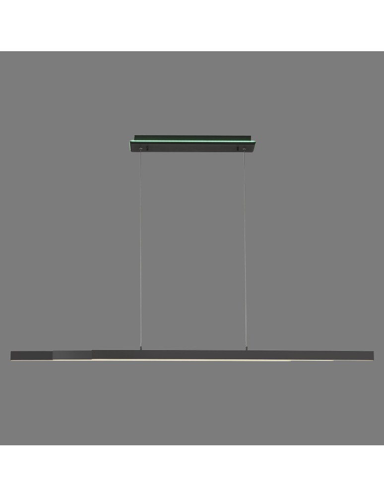 Paul Neuhaus Q-Arian Lampa Wisząca Antracyt 2569-13