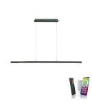 Paul Neuhaus Q-Arian Lampa Wisząca Antracyt 2569-13