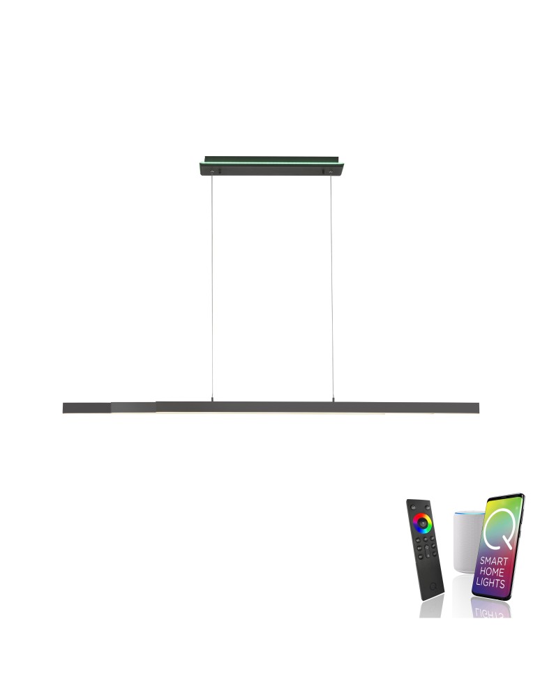 Paul Neuhaus Q-Arian Lampa Wisząca Antracyt 2569-13