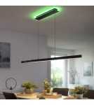 Paul Neuhaus Q-Arian Lampa Wisząca Antracyt 2569-13