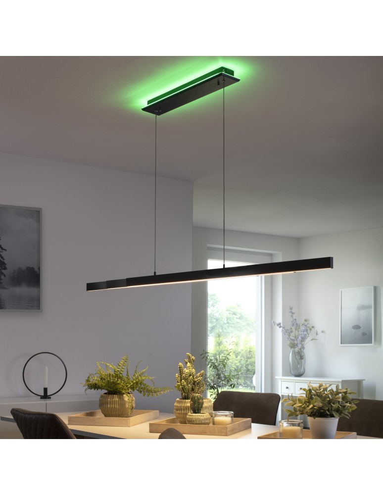 Paul Neuhaus Q-Arian Lampa Wisząca Antracyt 2569-13