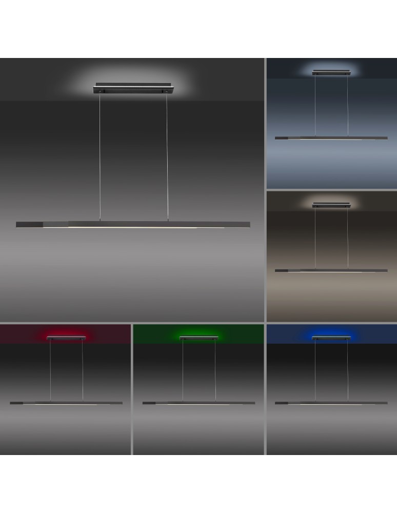 Paul Neuhaus Q-Arian Lampa Wisząca Antracyt 2569-13