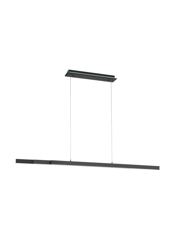 Paul Neuhaus Q-Arian Lampa Wisząca Antracyt 2569-13