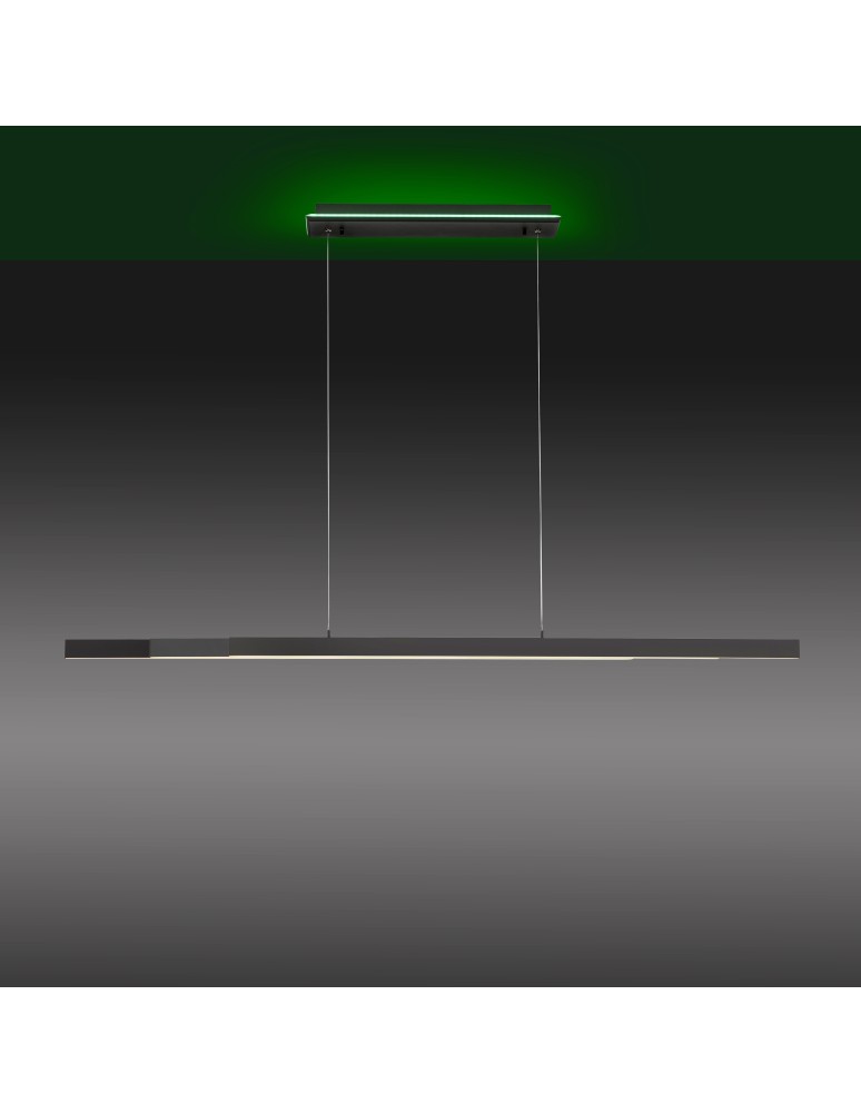 Paul Neuhaus Q-Arian Lampa Wisząca Antracyt 2569-13