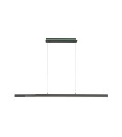 Paul Neuhaus Q-Arian Lampa Wisząca Antracyt 2569-13