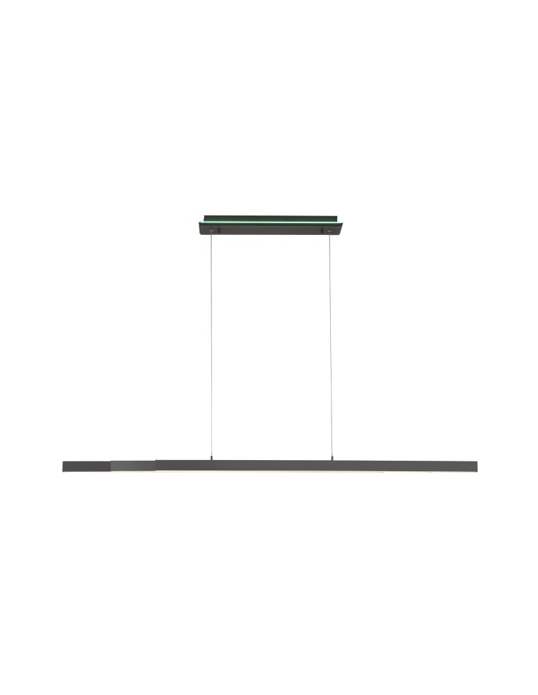 Paul Neuhaus Q-Arian Lampa Wisząca Antracyt 2569-13