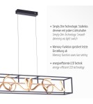 Paul Neuhaus Selina Lampa Wisząca Czarny/Złoty 2416-18