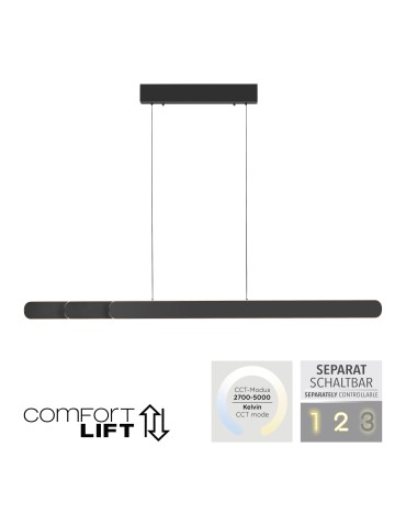 Paul Neuhaus Adriana Round Lampa Wisząca Czarny 2577-18 - product 2