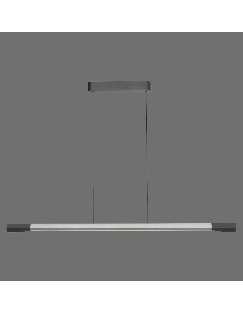 Paul Neuhaus Hoop Lampa Wisząca Aluminium/Antracyt 2732-33