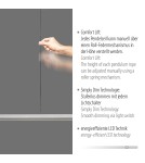 Paul Neuhaus Hoop Lampa Wisząca Aluminium/Antracyt 2732-33