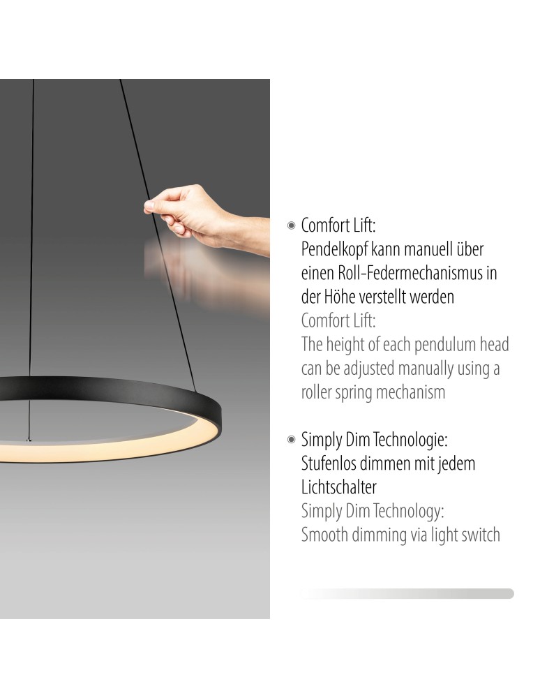 Paul Neuhaus Hoop Lampa Wisząca Czarny 2851-18