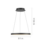 Paul Neuhaus Hoop Lampa Wisząca Czarny 2851-18