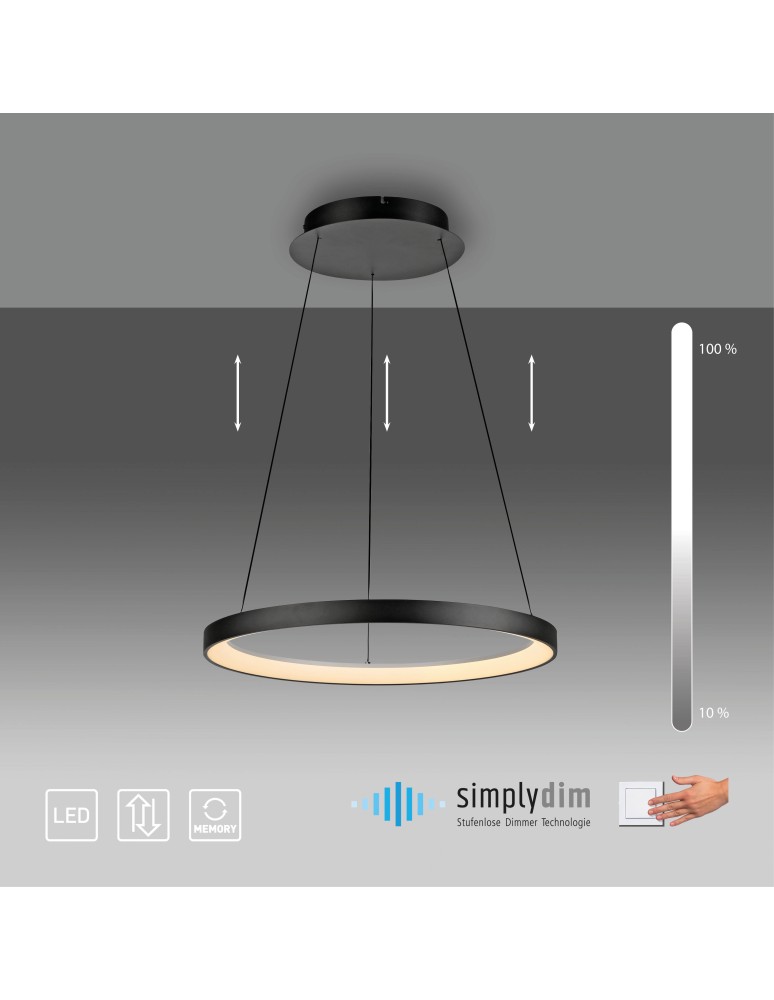 Paul Neuhaus Hoop Lampa Wisząca Czarny 2851-18