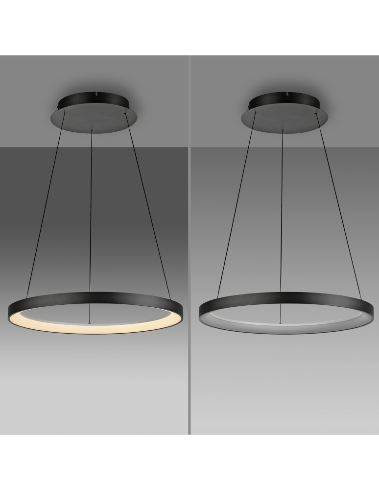 Paul Neuhaus Hoop Lampa Wisząca Czarny 2851-18