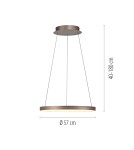 Paul Neuhaus Hoop Lampa Wisząca Kawowy 2851-36