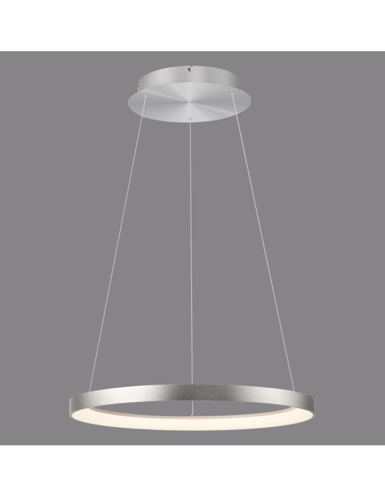 Paul Neuhaus Hoop Lampa Wisząca Aluminium 2851-95